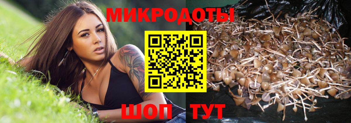 Галлюциногенные грибы GOLDEN TEACHER Зеленогорск
